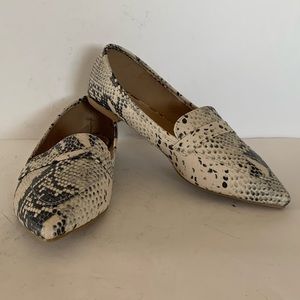Madden Girl Women’s shoes Snake Print
